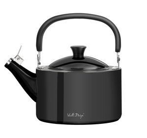 1,5 l Wasserkocher mit Pfeife aus poliertem Graphit DIAMANTE 8180