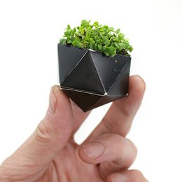 1OriBon - Sumi nero