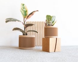 Rectangular wooden planters in natural and black colors, with various sizes to accommodate different sized plants. The planters feature a simple, minimalist design with clean lines.