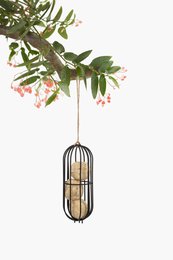 Metal bird feeder with hanging branch and red berries