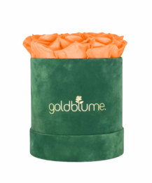 Colección Terciopelo Verde