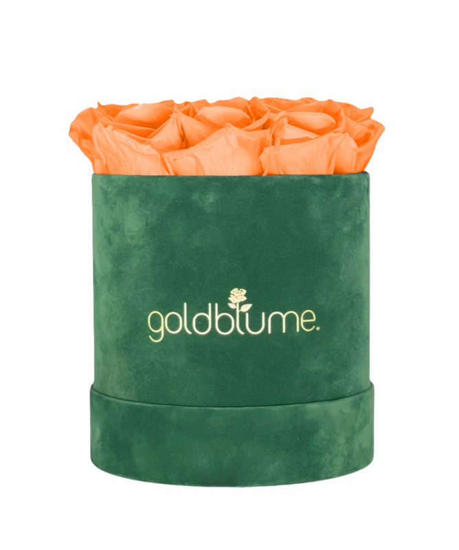 Colección Terciopelo Verde