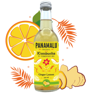 GINGER-LEMON KOMBUCHA (BOX DA 6 BOTTIGLIE 330ml)