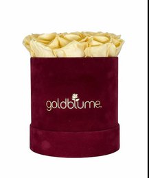 Velvet Bordeaux Collection