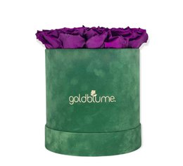 Colección Terciopelo Verde