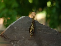 THÉ VERT 12 TIGES