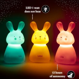 Path of Light - Rabbit Léo, Léni & Lila - Induction Refill - Color