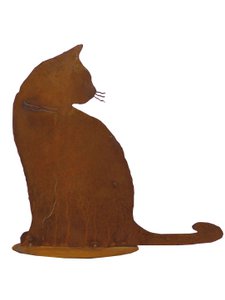 Cat Tom sitting