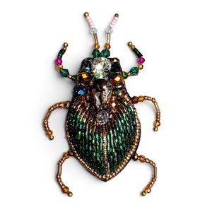 Elytra Brooch