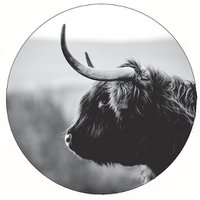 Muurcirkel bull zwart wit