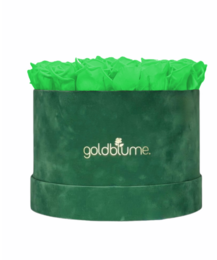 Colección Terciopelo Verde