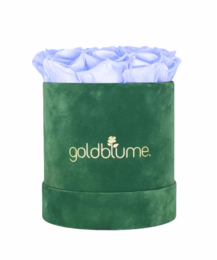 Colección Terciopelo Verde