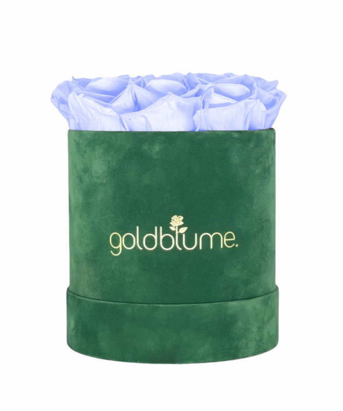 Colección Terciopelo Verde