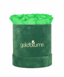 Colección Terciopelo Verde