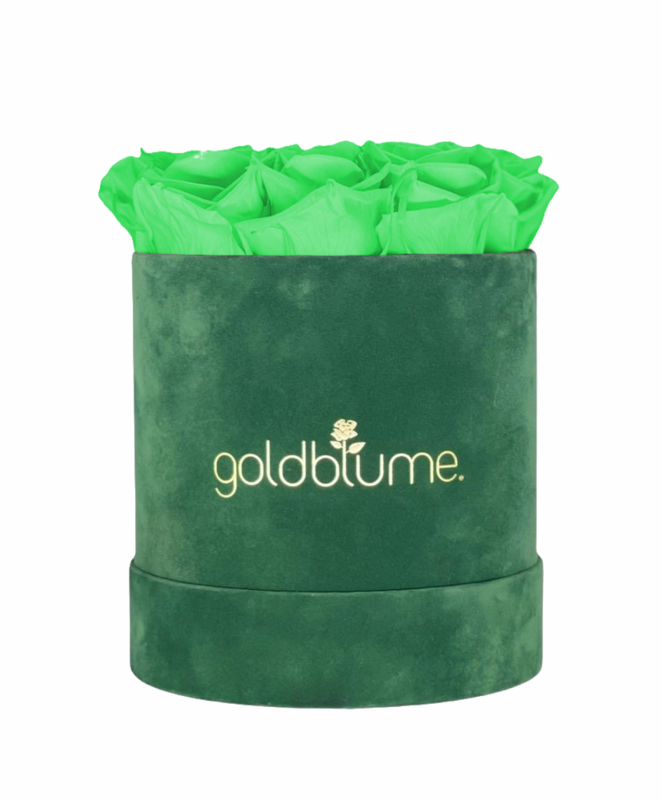 Colección Terciopelo Verde