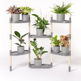 Plantehylder 6 bakker