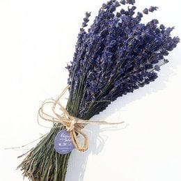 A bouquet of dried lavender flowers, tied together with a twine bow. The lavender flowers are a deep purple color and appear to be freshly harvested.