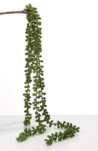 Deco Senecio tak / 5 hangend. groen VE 12