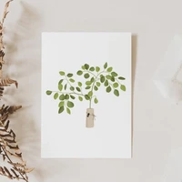 Postcard - Eucalyptus branch II