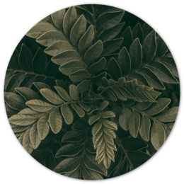 Round wall decor with green and beige leaves, available in various sizes and materials like Forex and Dibond.