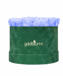 Colección Terciopelo Verde
