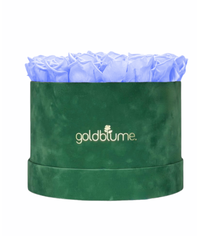 Colección Terciopelo Verde