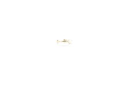 CHARLESTON S ring