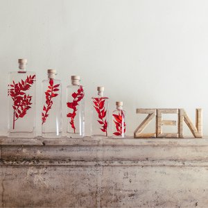 Het Herbarium - Rode Ruscus ondergedompelde plant