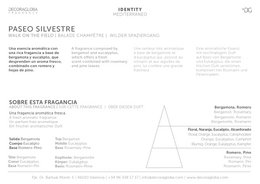 Bastoncini profumati Mikado Diffusore | Profumo di rosmarino, pino ed eucalipto | Paseo Silvestre | 100 ml/3,38 once fluide