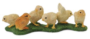 Groep Kuikens - (S)