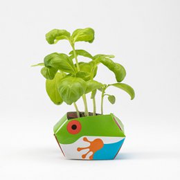 1 OriBon+ - Collezione di animali della foresta pluviale