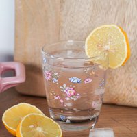 Drinking glass English Garden 260 ml Isabelle Rose