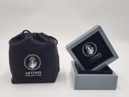 Juego de cajas para joyas / cajas de almacenamiento "gris" noble alto brillo