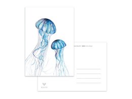 Postcard featuring a duo of jellyfish in shades of blue, with delicate, flowing tentacles.