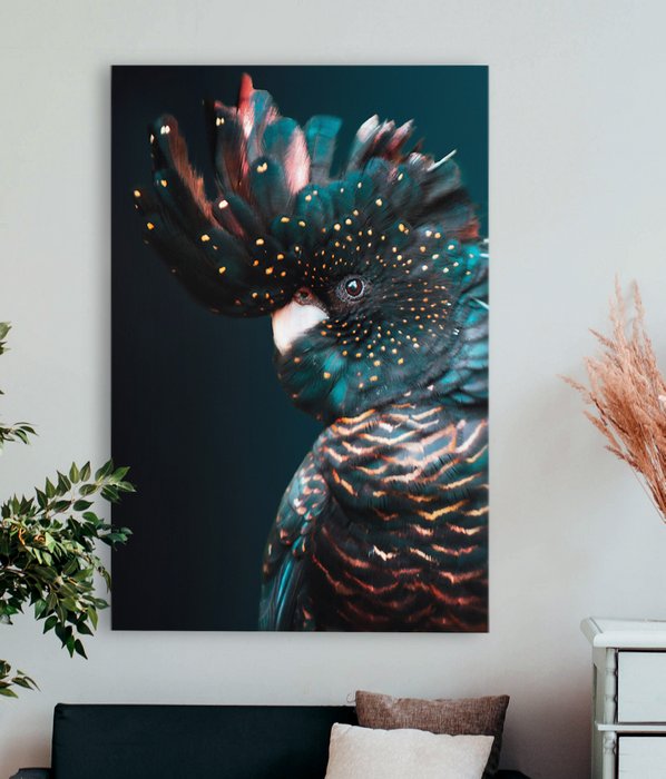Cockatoo
