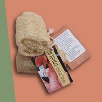 Jungle Sponge about 5-7cm