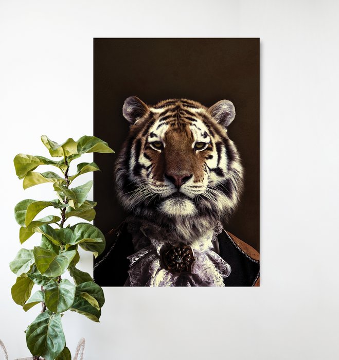 Classy Tiger 2