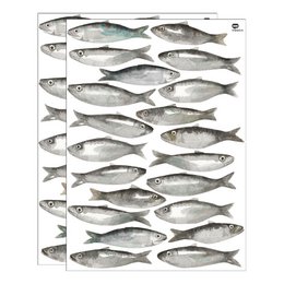 Akvarel sardin wallsticker