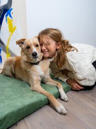 Madras "Soft" til en hund og en kat - genbrugt