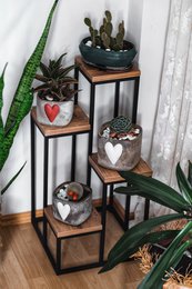 Metal plant rack with wooden etageres from Naturn Living | Etagere Plants | Spice rack | Flower rack indoor - outdoor | Plant stand | Plant column | Matt black