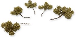 Decorative gold glitter pine cones, set of approximately 20 pieces, suitable for Christmas and seasonal home decor.