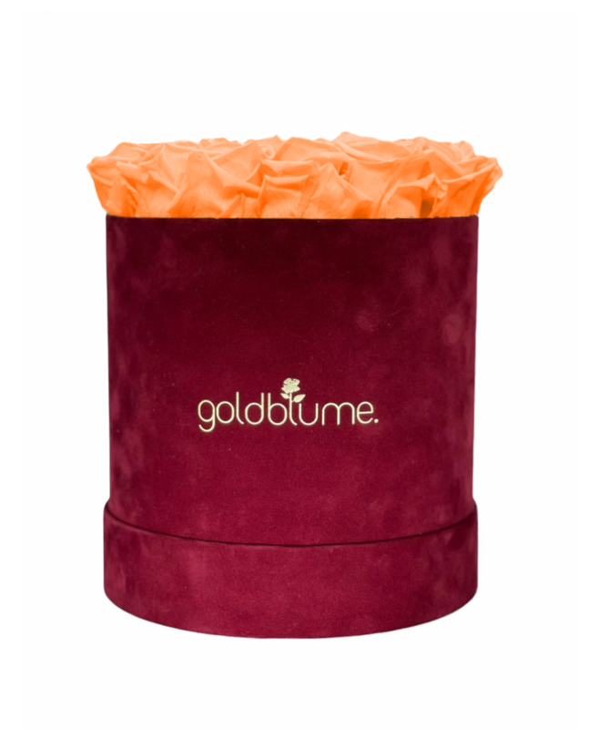 Velvet Bordeaux Collection