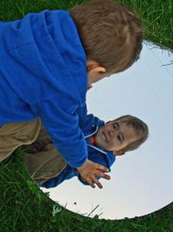  Circular outdoor mirror with natural elements like leaves, berries, and a woven basket. The mirror reflects the surrounding nature.