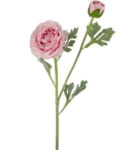 Kunstranonkel Real Touch Pink 60 cm