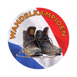 Etiketten - "Du bist ein Toper" - 45 mm - 250 Stück Kopie