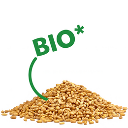 Wärmekissen für Bauch & Rücken, Körnerkissen mit Bio-Weizen, Löwe