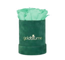 Colección Terciopelo Verde