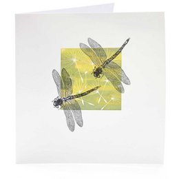 Stempel: Dragonfly