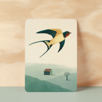 Postcard |  Barn swallow