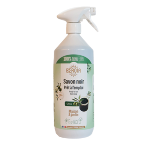 Klaar -to -gebruik Black Soap